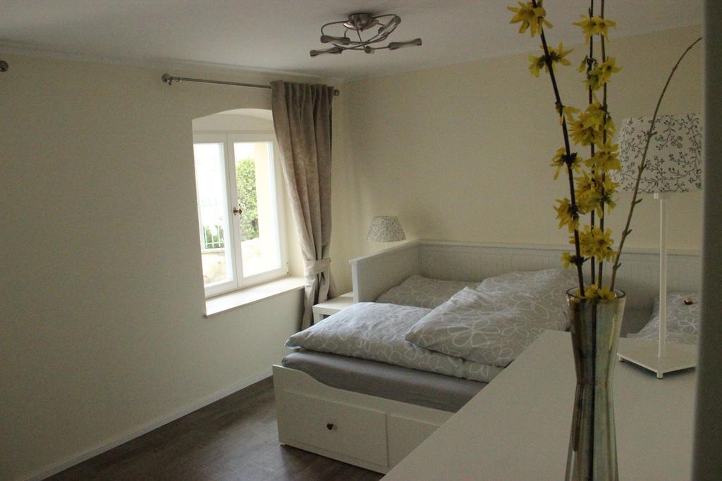 Ferienwohnung An Der Elbe Dresda Esterno foto